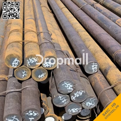 Thép Tròn Đặc S45C / C45 Mài trắng DS:-+0.05 Dung Sai H9